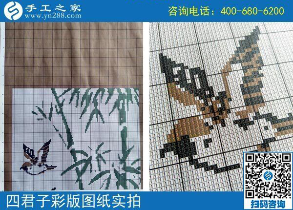 想在家掙錢，四川綿陽(yáng)劉女士為什么選擇干這個(gè)，真的能掙錢嗎？