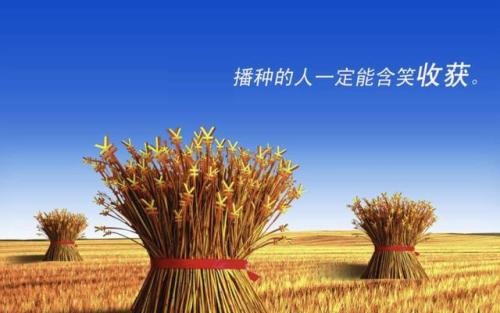 （干貨）分享：判斷在家做的手工活加工項(xiàng)目的正規(guī)性，這幾個(gè)角度要注意(圖3)