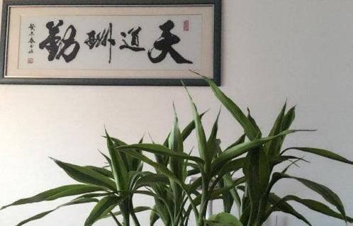 （干貨）分享：判斷在家做的手工活加工項(xiàng)目的正規(guī)性，這幾個(gè)角度要注意(圖5)
