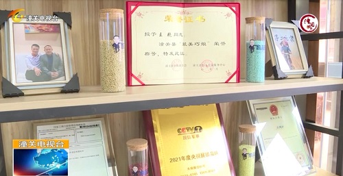 用心去種，才能成就一棵能擋雨納涼的大樹(shù) --- --- 手工之家植樹(shù)節(jié)有感