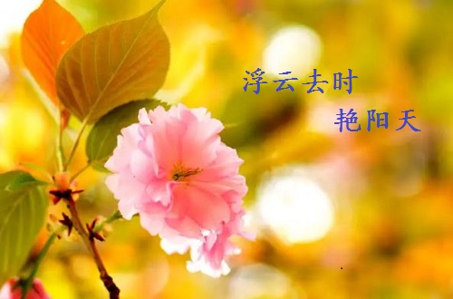 不一樣的五·一，用一樣的心去努力(圖6)
