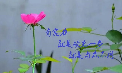 手工活接單正規(guī)平臺(tái)，有實(shí)力的手工廠家是啥樣的？