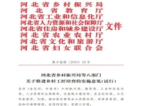 爭做鄉(xiāng)村工匠，我們一起用手工助力鄉(xiāng)村振興