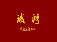千百匠全國運營中心招人啦！??！