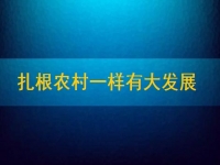 在家能做的兼職正規(guī)可靠，扎根農(nóng)村一樣有大發(fā)展