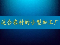 適合農(nóng)村的小型加工廠，月入2萬不算多，你有時(shí)間也能做