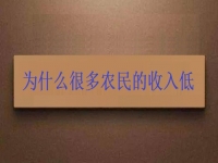 為什么很多農(nóng)民的收入低？這2點(diǎn)做好了，在家兼職手工活收入是杠杠滴