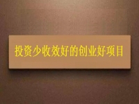 投資不到3萬，1個人就能干，利潤很高，每天收入能上千，我能做嗎
