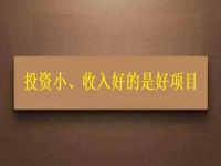 投資這么小，為什么收入?yún)s能這樣好？這個(gè)拿回家做的手工項(xiàng)目給出了答案