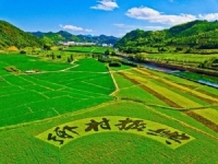 普通人應(yīng)該如何抓住鄉(xiāng)村振興創(chuàng)業(yè)風(fēng)口？