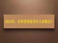 2024年，在村里創(chuàng)業(yè)還有什么好機(jī)會(huì)？