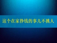 這個(gè)在家掙錢的事兒不挑人，2024要掙錢，你我就靠它了
