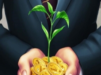 回鄉(xiāng)小成本創(chuàng)業(yè)，收入比打工強(qiáng)的手工加工廠，開辦到底要投多少錢？