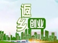 除了種地，不外出打工，在農(nóng)村還能怎樣掙錢？很多人低成本創(chuàng)業(yè)做手工傳承官