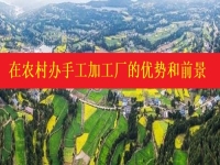 發(fā)掘農(nóng)村優(yōu)勢(shì)，讓返鄉(xiāng)創(chuàng)業(yè)開手工加工廠成為更多人掙錢增收的好辦法