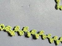 7月19日，附近有沒有兼職手工活，在家做的手工副業(yè)，開手工加工廠，做手工傳承官，在手工之家，每一種合作都有成熟的服務和支持，圖為串珠米珠繡純手工產(chǎn)品剪影