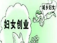 農(nóng)村創(chuàng)業(yè)、城市創(chuàng)業(yè)，家庭主婦等女士做手工傳承官都是自帶優(yōu)勢