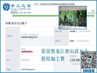 這個彩珠繡串珠手工活真是正規(guī)供料的手工活。黑龍江密山武女士說