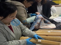 在家庭工作做手工活外接串珠子，常年輕松快樂把錢賺